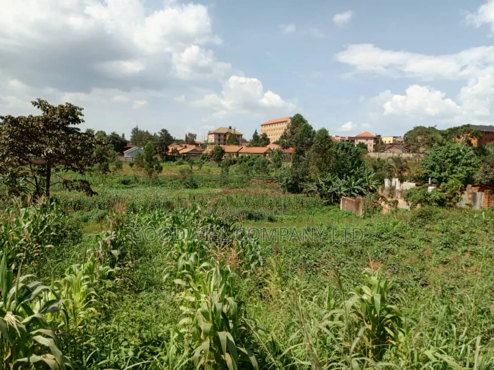 5.2 Acres of Land in Namanve 200 Meters Off Tarmac Road