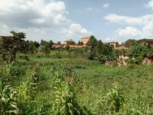 5.2 Acres of Land in Namanve 200 Meters Off Tarmac Road