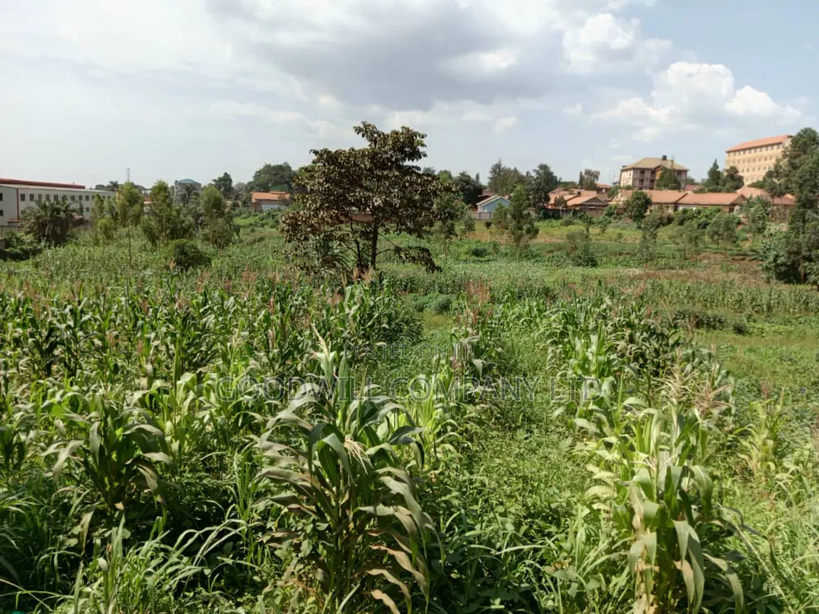 5.2 Acres of Land in Namanve 200 Meters Off Tarmac Road