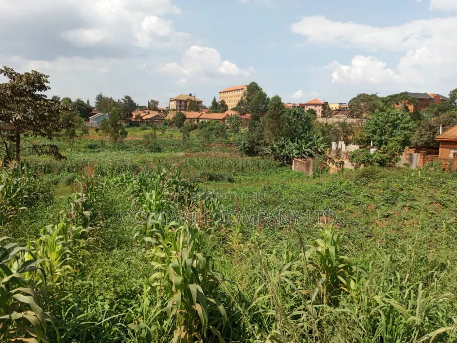 5.2 Acres of Land in Namanve 200 Meters Off Tarmac Road