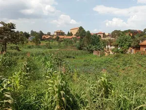 5.2 Acres of Land in Namanve 200 Meters Off Tarmac Road