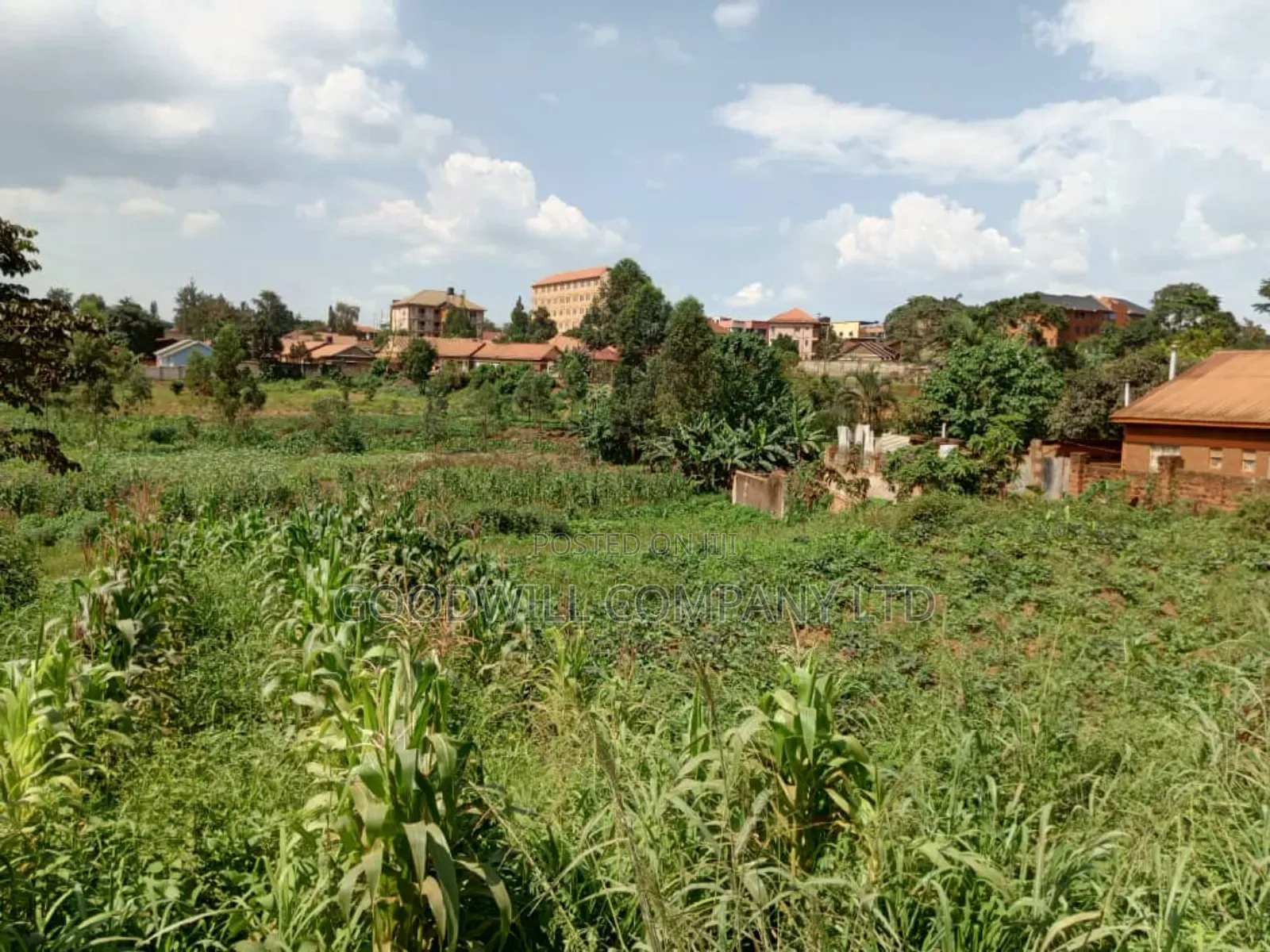 5.2 Acres of Land in Namanve 200 Meters Off Tarmac Road