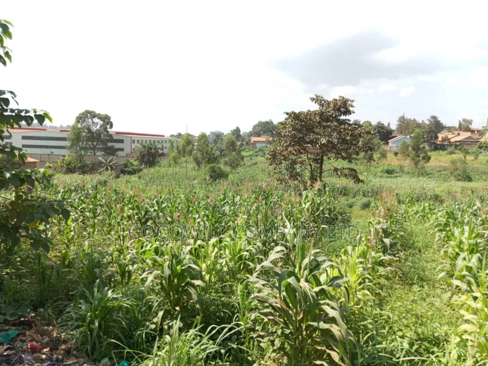 5.2 Acres of Land in Namanve 200 Meters Off Tarmac Road