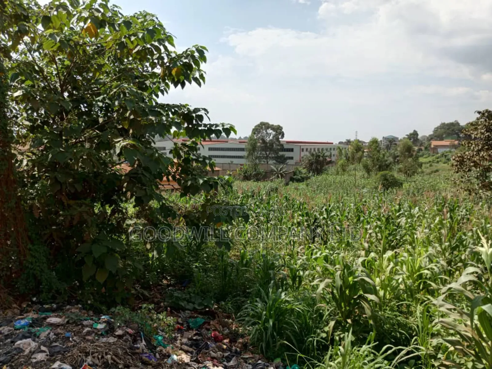 5.2 Acres of Land in Namanve 200 Meters Off Tarmac Road