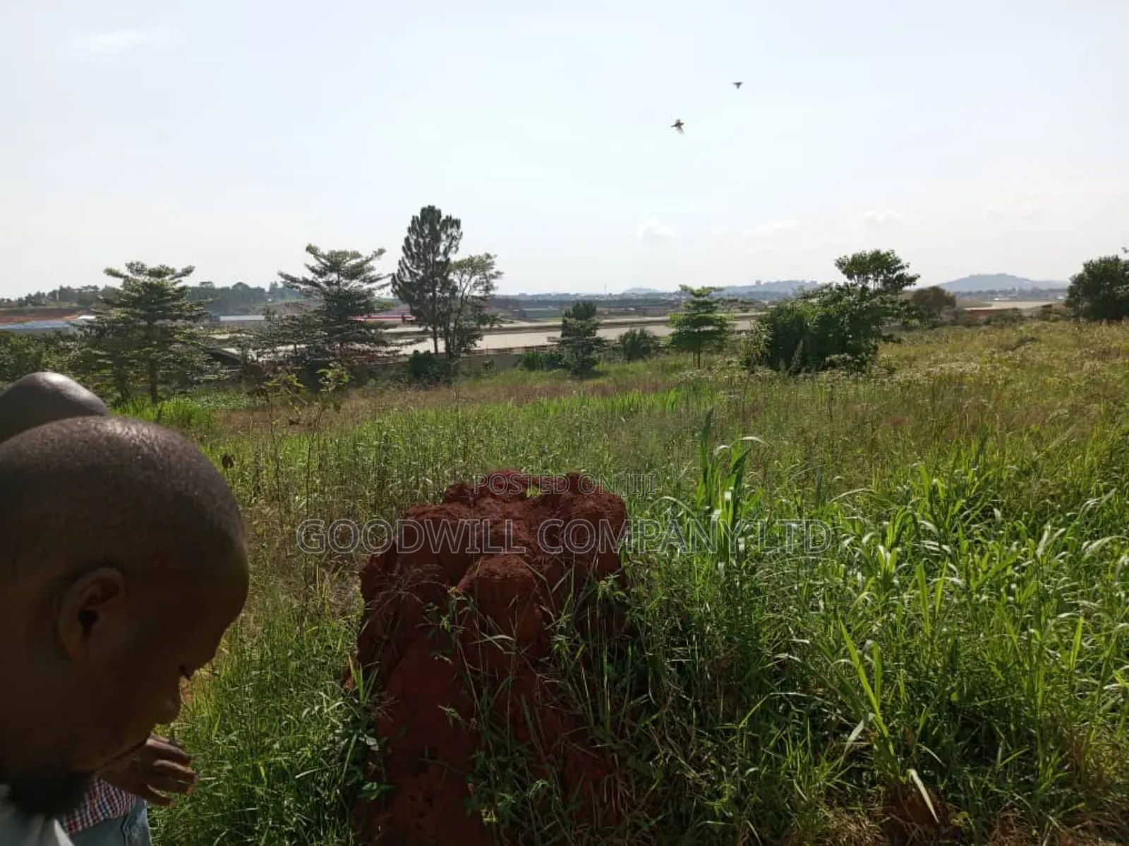 3 Acres of Land in Namanve Good for Many Projects Near Kampala