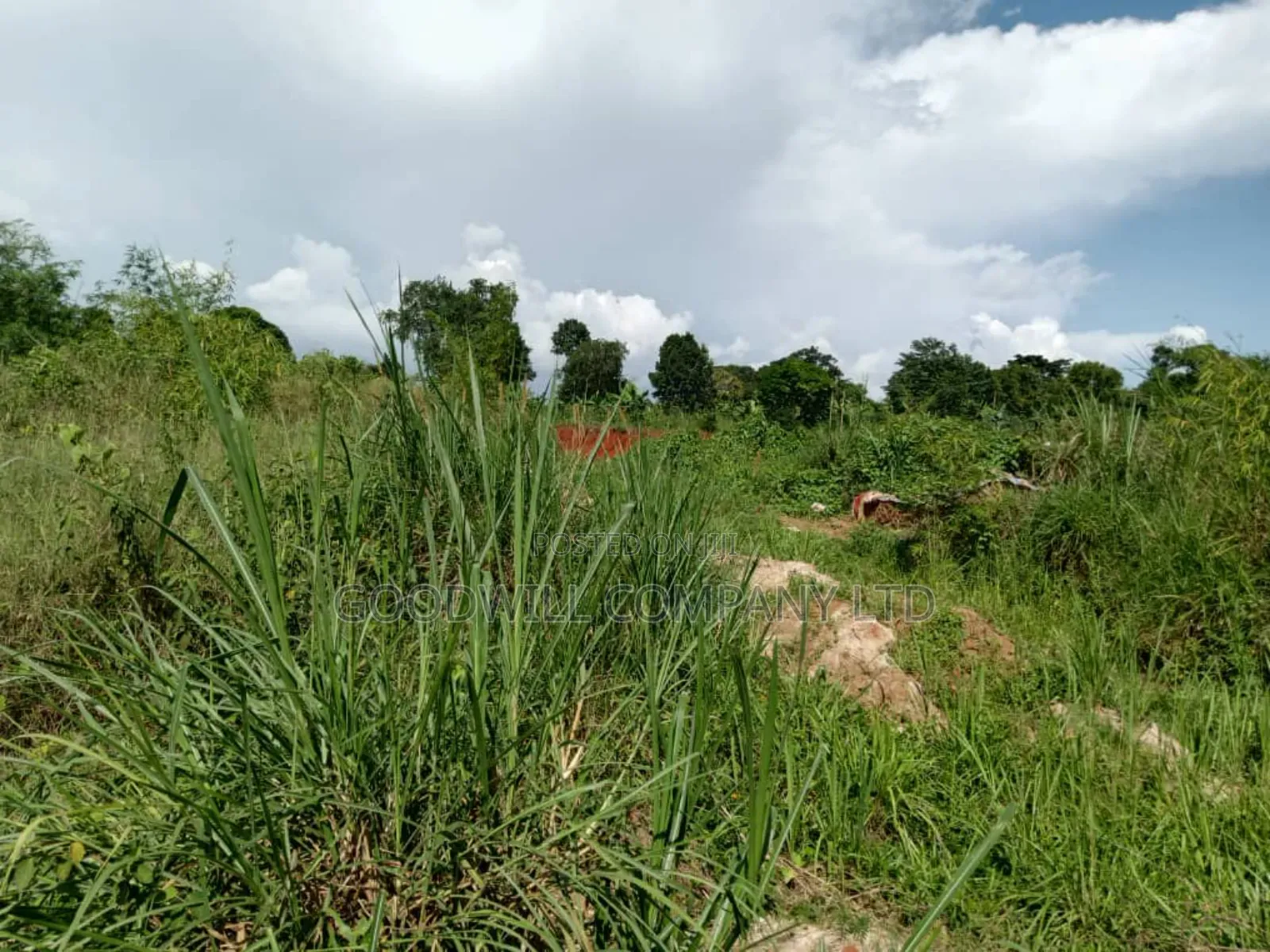 3 Acres of Land in Namanve Good for Many Projects Near Kampala