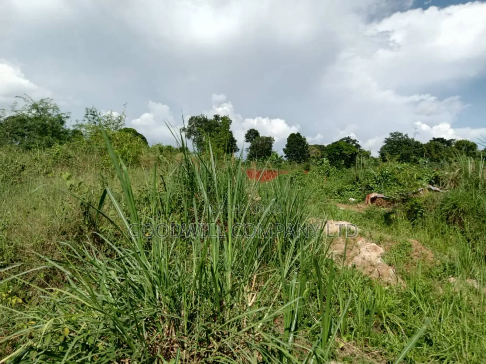 3 Acres of Land in Namanve Good for Many Projects Near Kampala