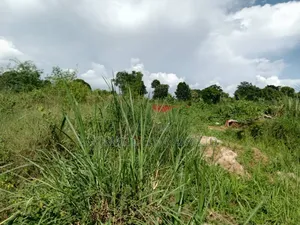 3 Acres of Land in Namanve Good for Many Projects Near Kampala