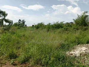 3 Acres of Land in Namanve Good for Many Projects Near Kampala