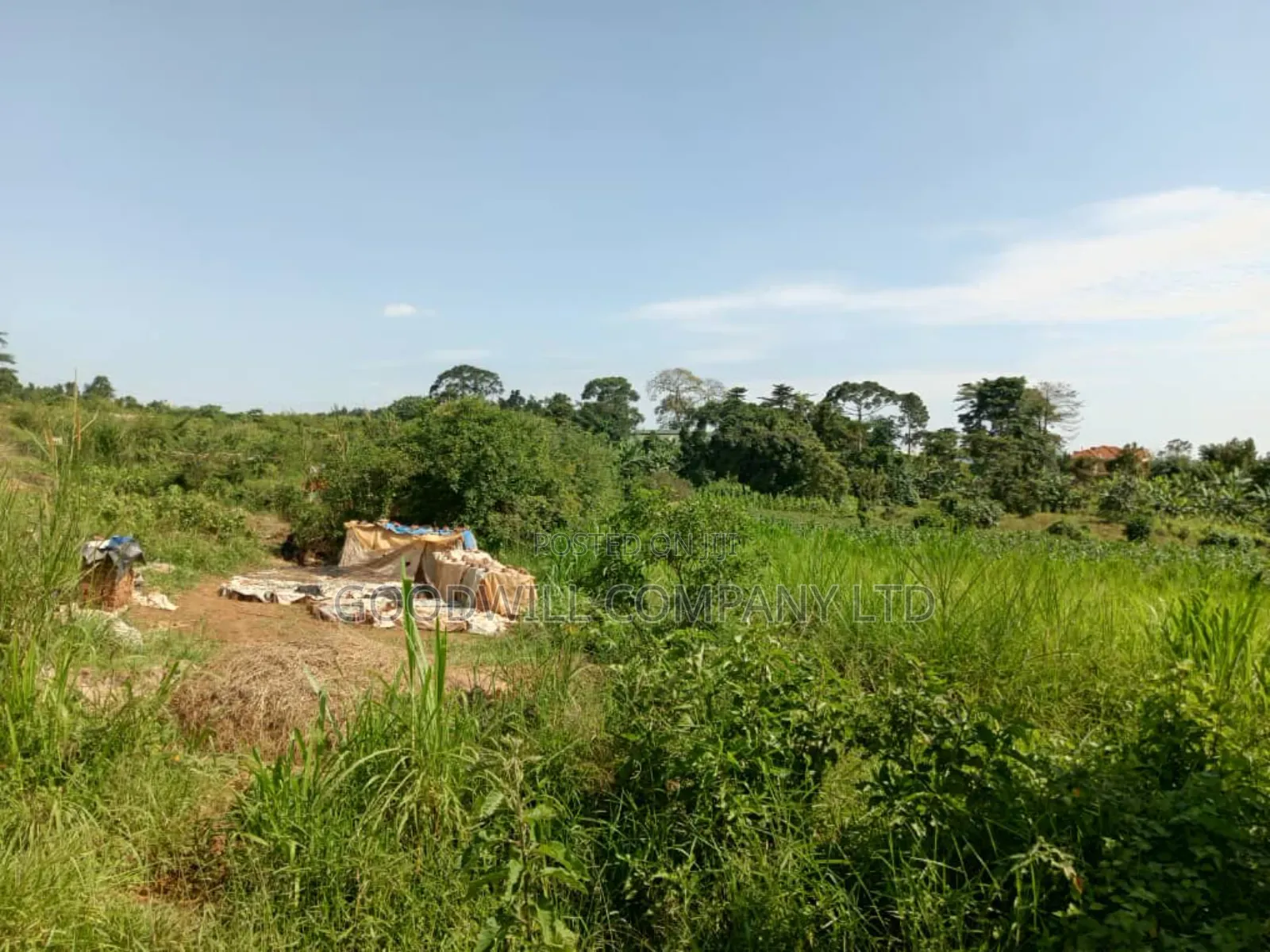 3 Acres of Land in Namanve Good for Many Projects Near Kampala