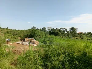3 Acres of Land in Namanve Good for Many Projects Near Kampala