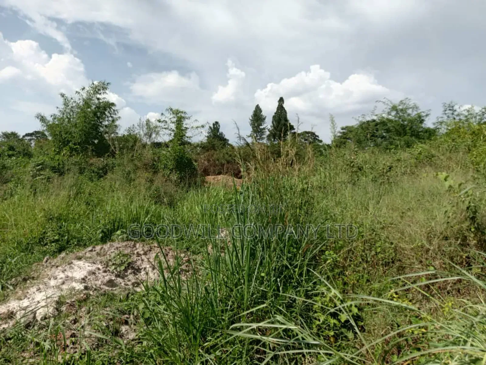 3 Acres of Land in Namanve Good for Many Projects Near Kampala