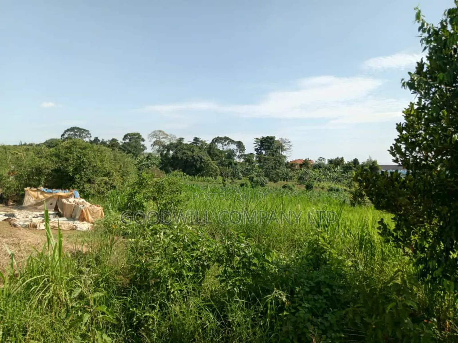 3 Acres of Land in Namanve Good for Many Projects Near Kampala