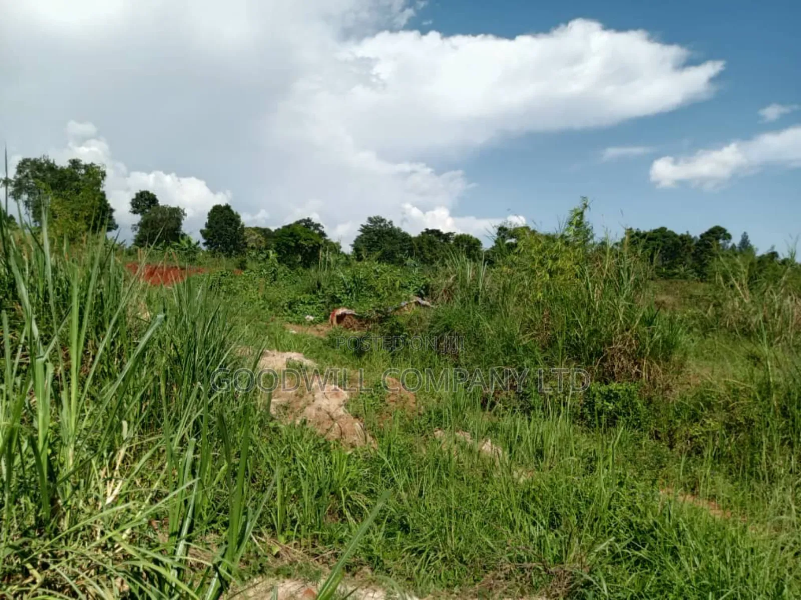 3 Acres of Land in Namanve Good for Many Projects Near Kampala