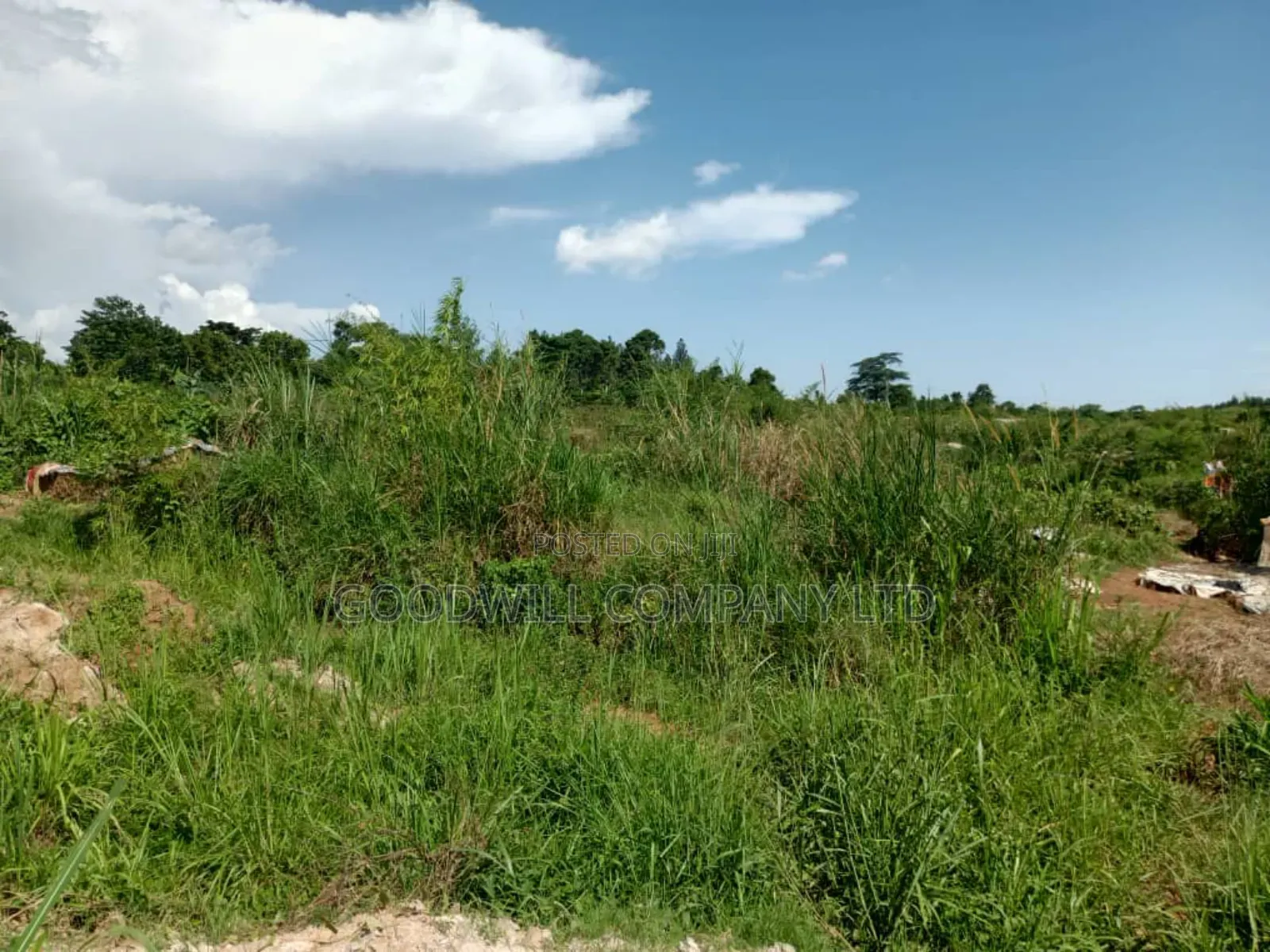 3 Acres of Land in Namanve Good for Many Projects Near Kampala