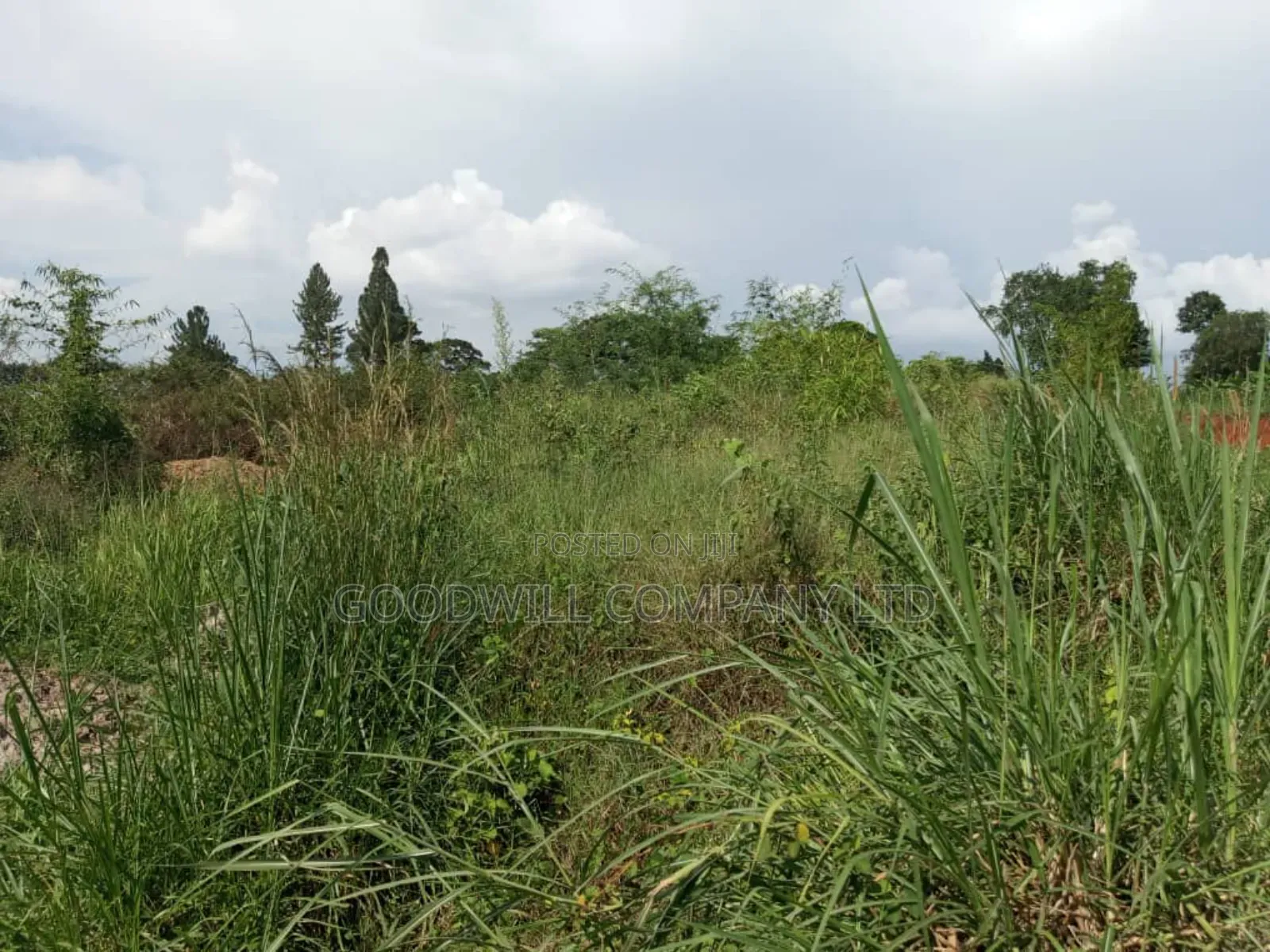 3 Acres of Land in Namanve Good for Many Projects Near Kampala