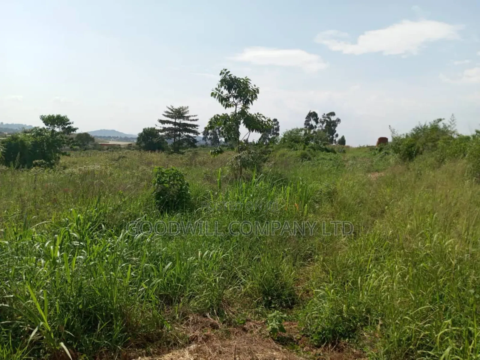 3 Acres of Land in Namanve Good for Many Projects Near Kampala