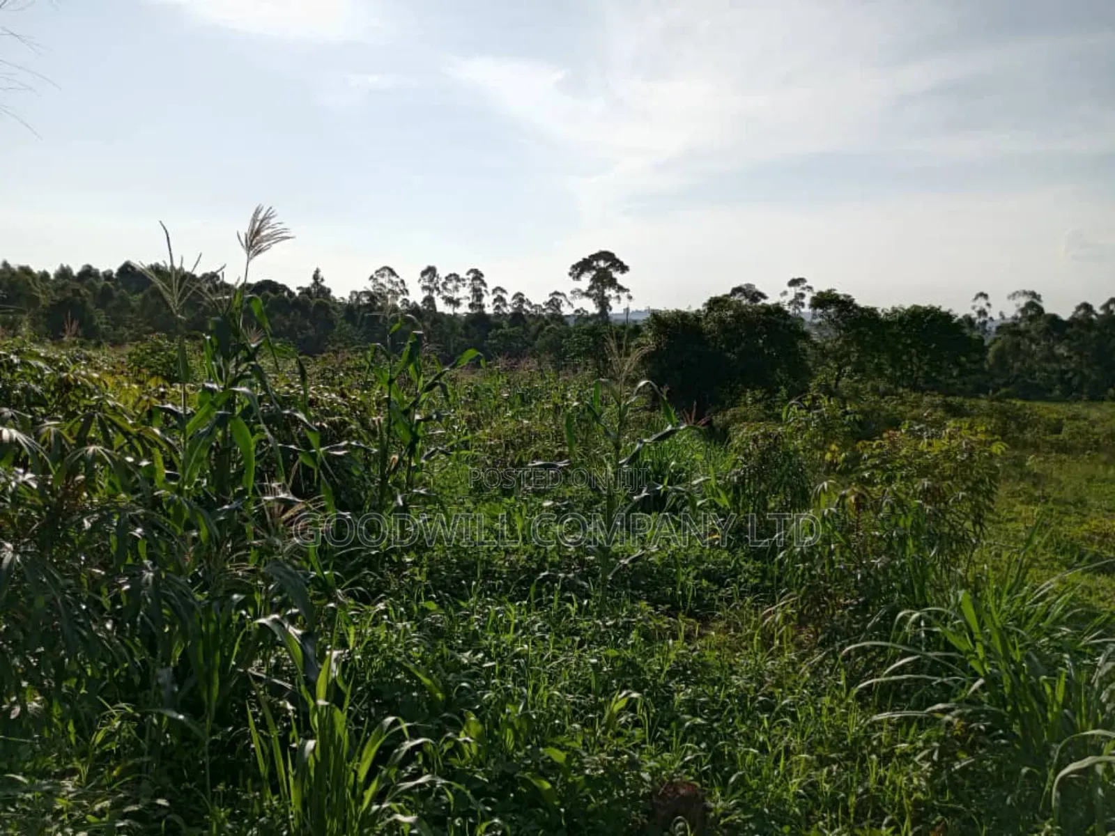6.6 Acres of Land in Namanve Industrial Park