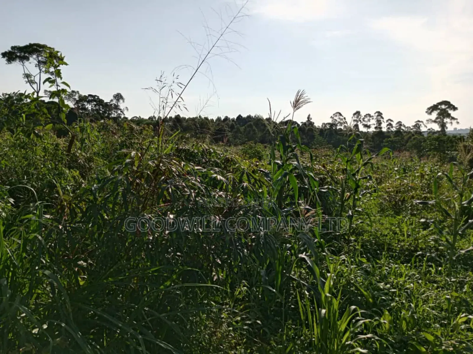 6.6 Acres of Land in Namanve Industrial Park