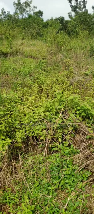10 Acres of Land in Kiwanura Kikyusa Zirobwe Road