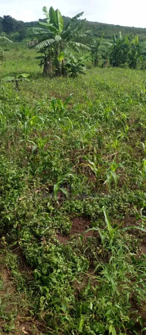 10 Acres of Land in Kiwanura Kikyusa Zirobwe Road