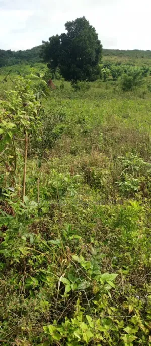 10 Acres of Land in Kiwanura Kikyusa Zirobwe Road