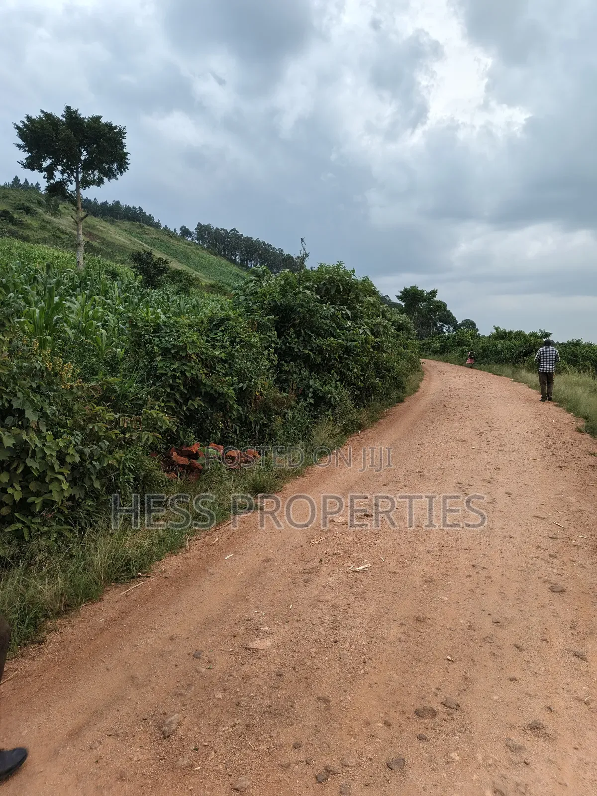 3acres of Commercial Land in Njeru