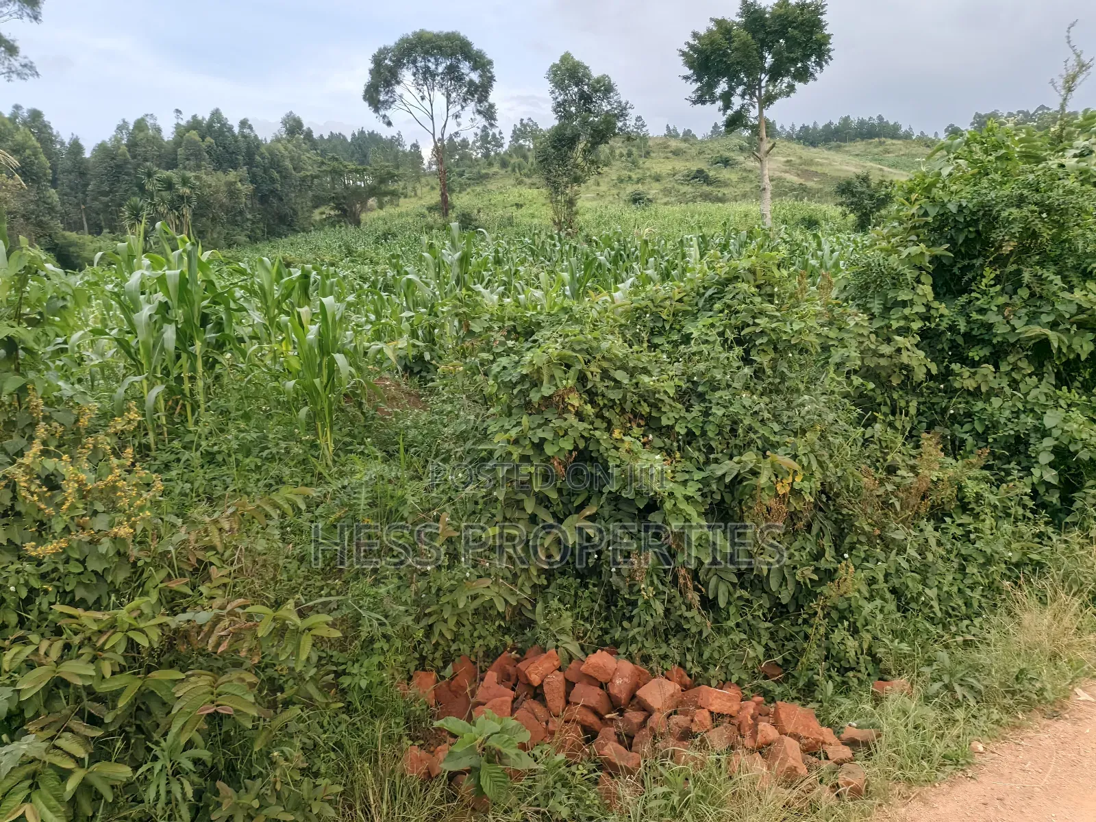 3acres of Commercial Land in Njeru