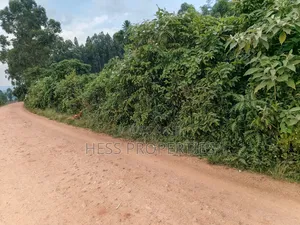 3acres of Commercial Land in Njeru