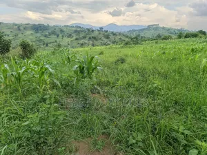 6acres of Agricultural Land in Bufunjo Kyenjojo District