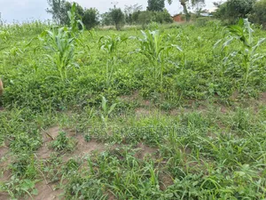 6acres of Agricultural Land in Bufunjo Kyenjojo District