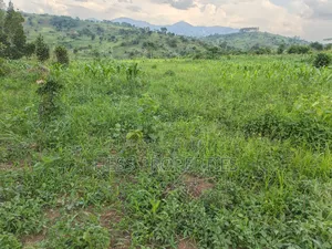 6acres of Agricultural Land in Bufunjo Kyenjojo District