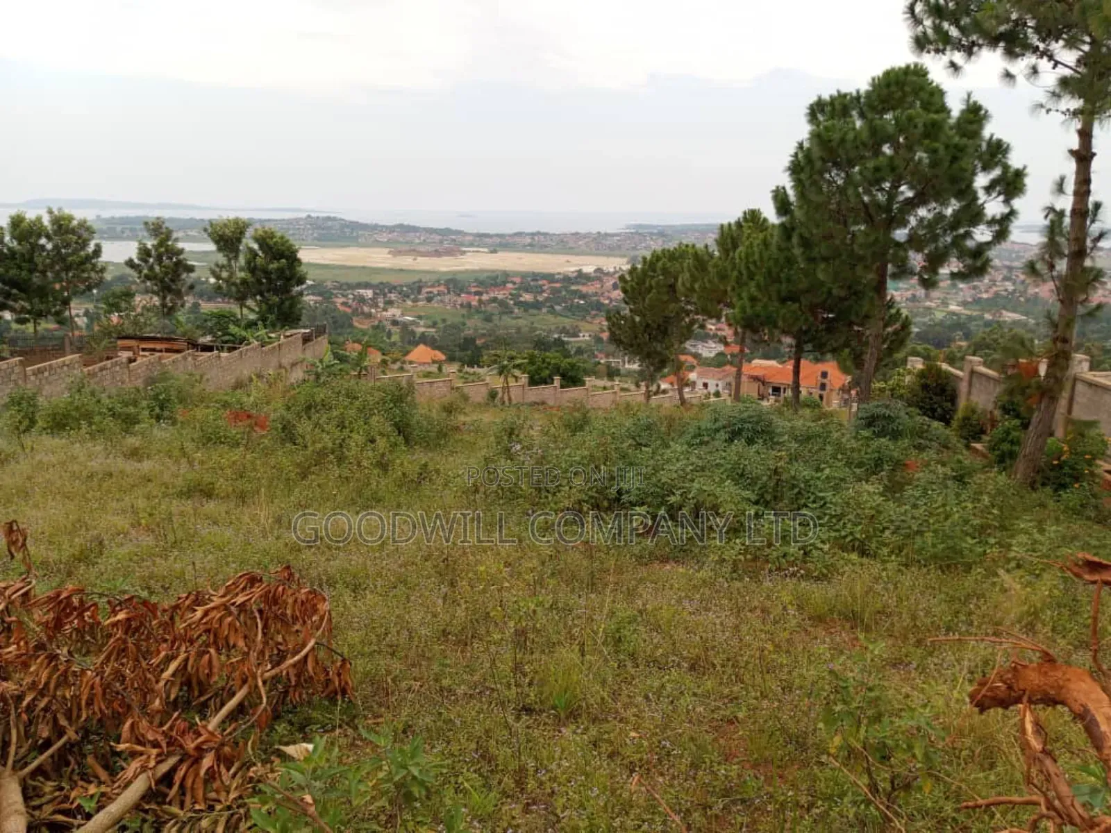 50 Decimals Entebbe Road Bwebajja Lake View- 50 Decimals (1⁄2 Acre)