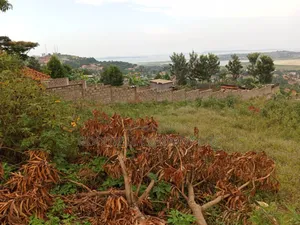 50 Decimals Entebbe Road Bwebajja Lake View- 50 Decimals (1⁄2 Acre)
