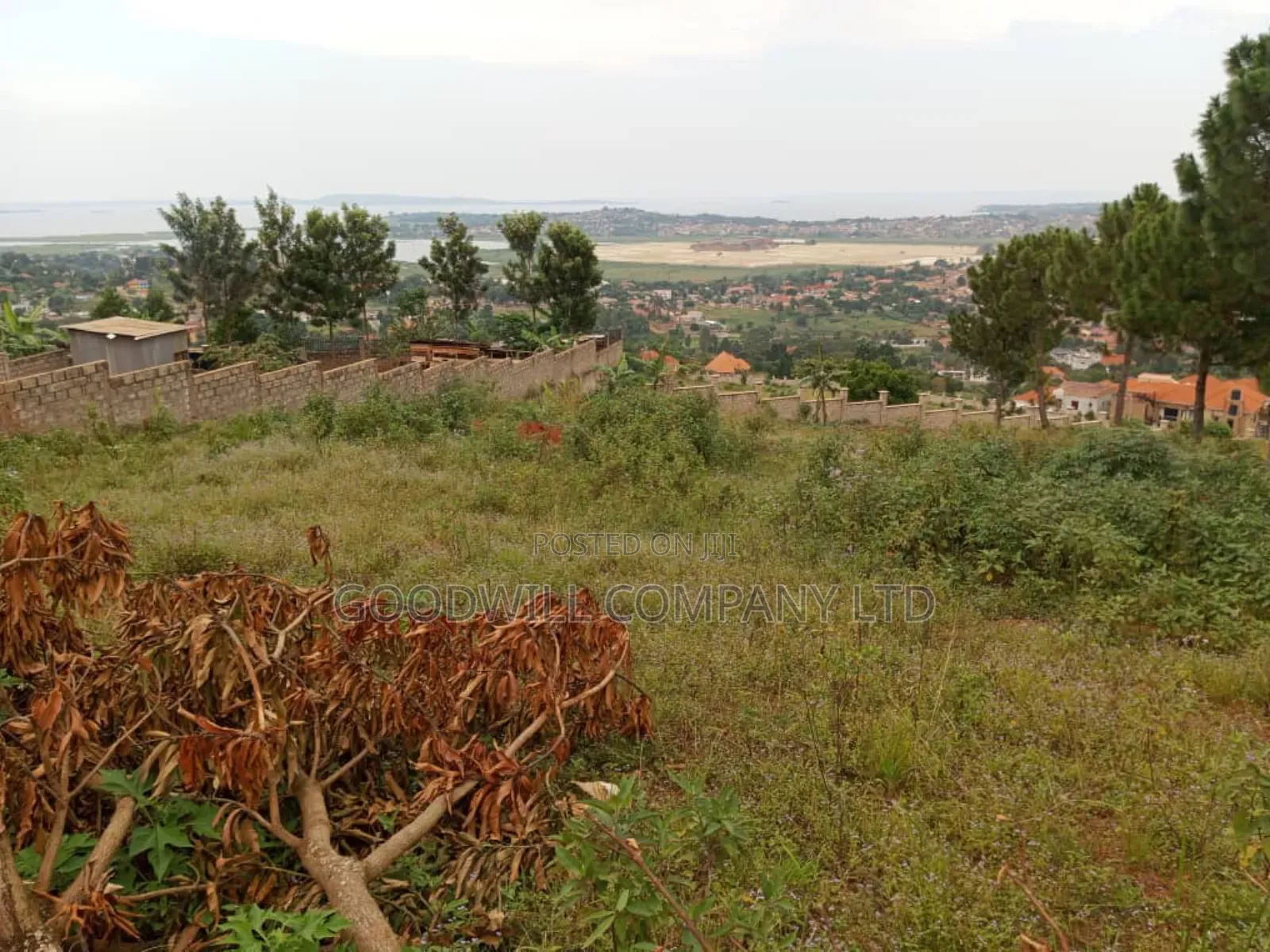 50 Decimals Entebbe Road Bwebajja Lake View- 50 Decimals (1⁄2 Acre)