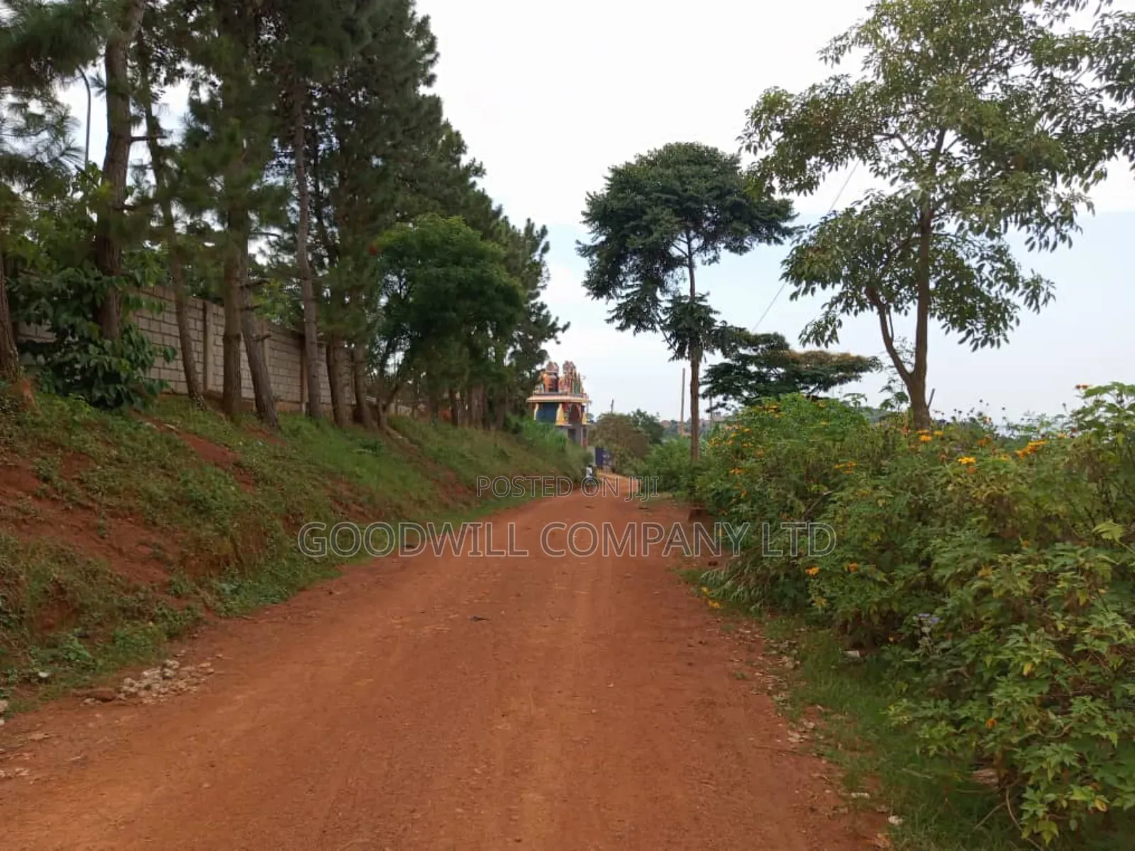 50 Decimals Entebbe Road Bwebajja Lake View- 50 Decimals (1⁄2 Acre)