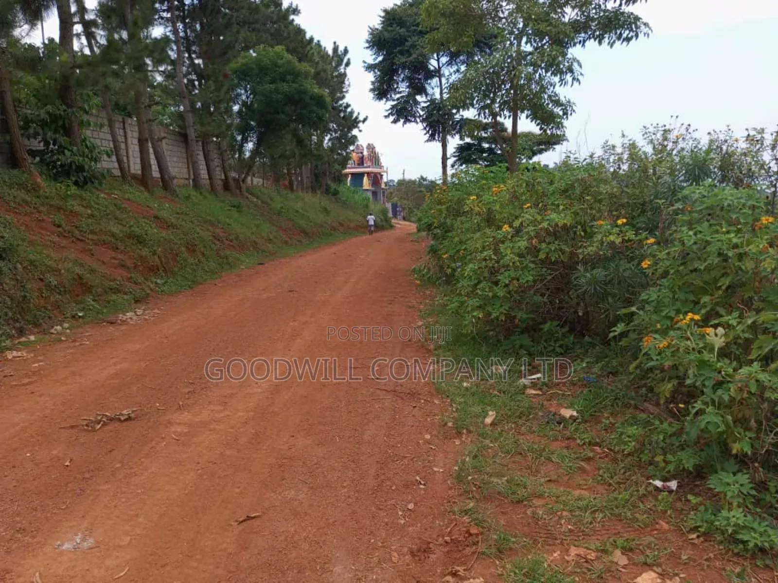 50 Decimals Entebbe Road Bwebajja Lake View- 50 Decimals (1⁄2 Acre)