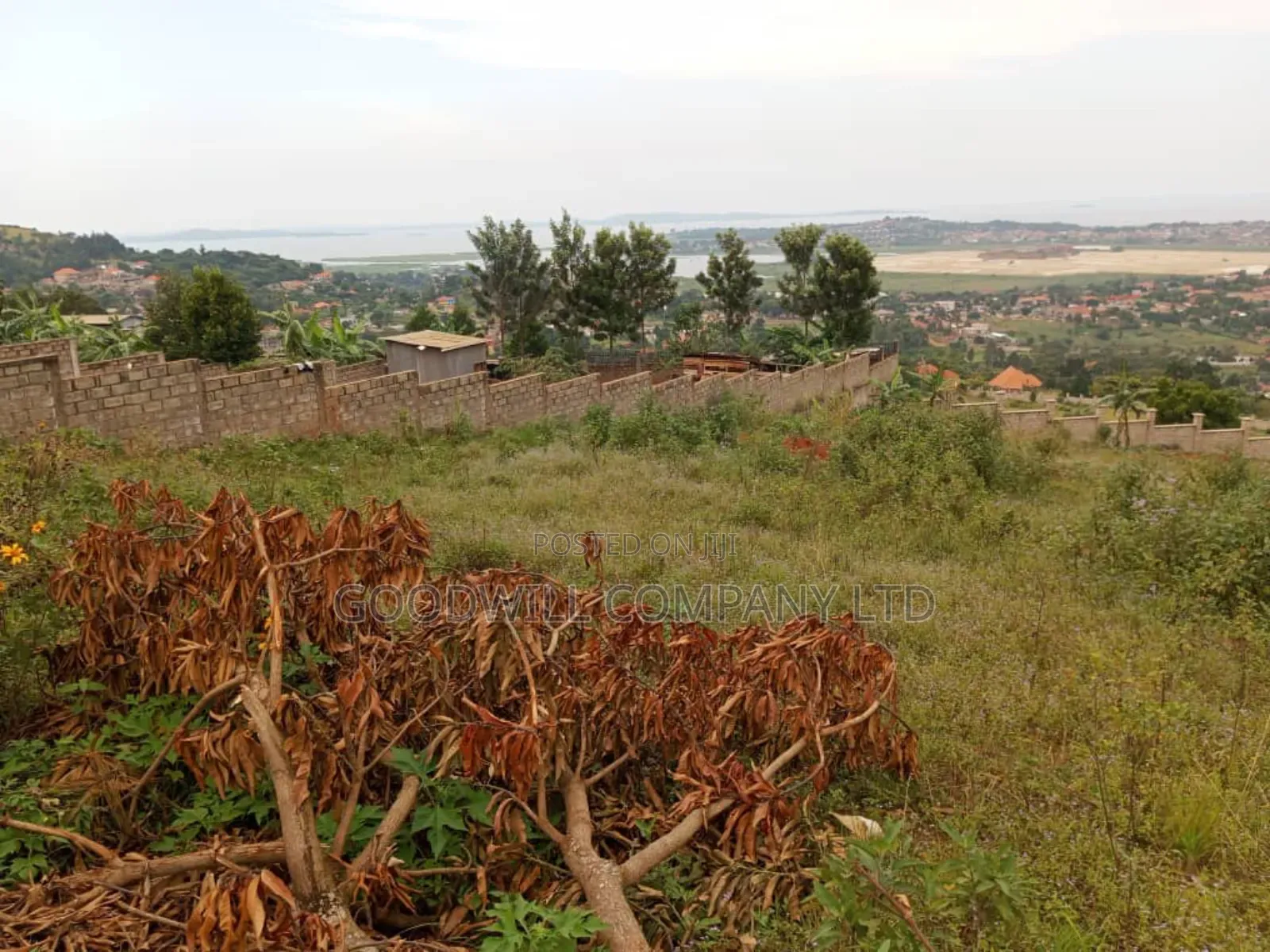 50 Decimals Entebbe Road Bwebajja Lake View- 50 Decimals (1⁄2 Acre)
