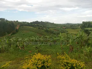 15 Acres of Land in Kikonge Mityana Road (Private Mailo) for Sale