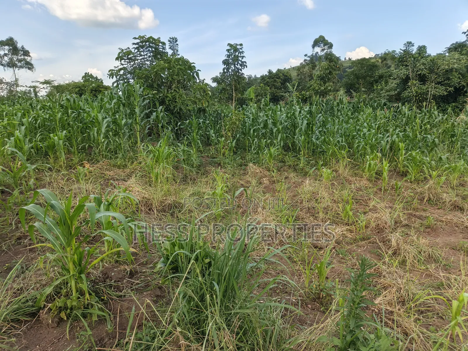 2.5acres of Land on Sale
