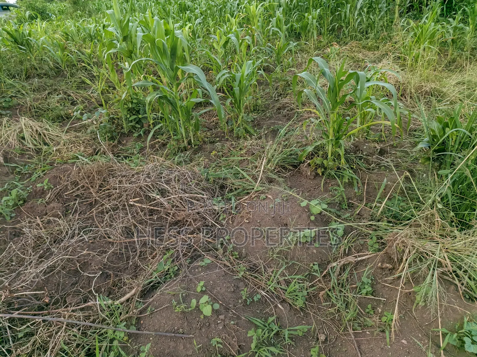 2.5acres of Land on Sale