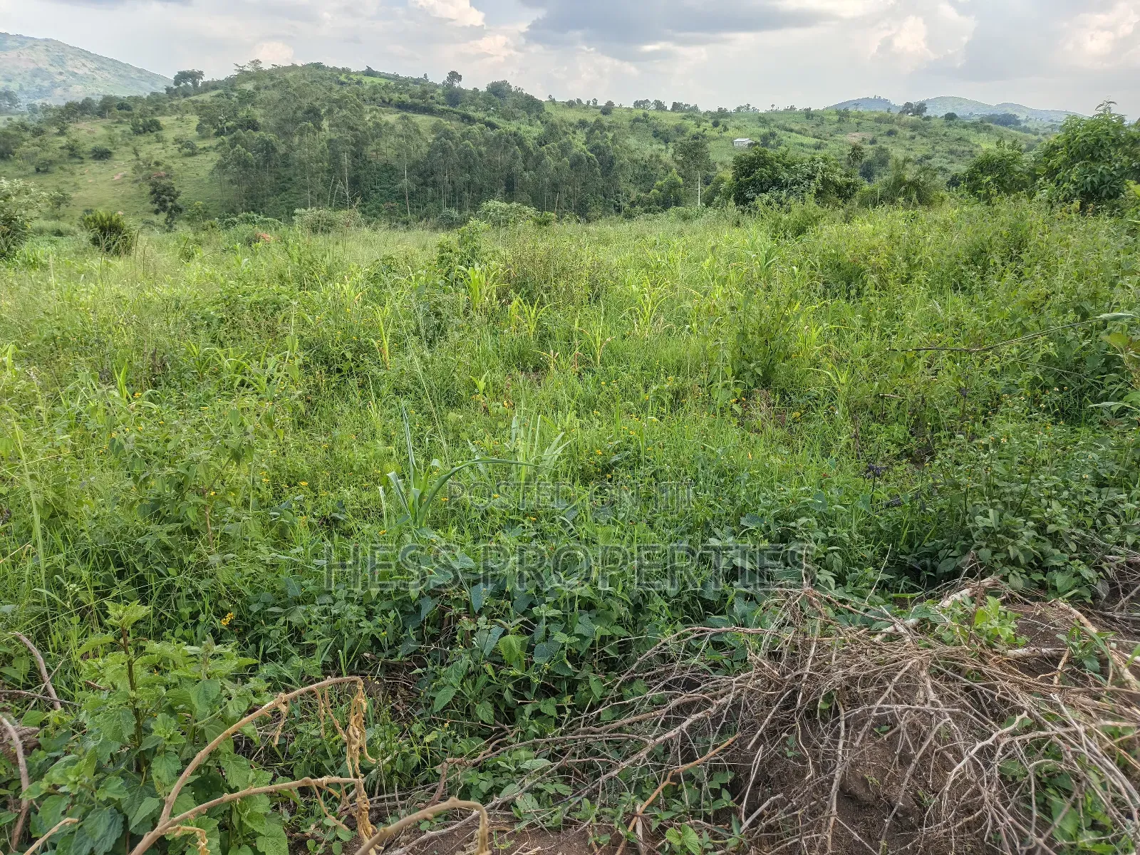 2.5acres of Land on Sale