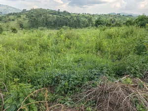 2.5acres of Land on Sale