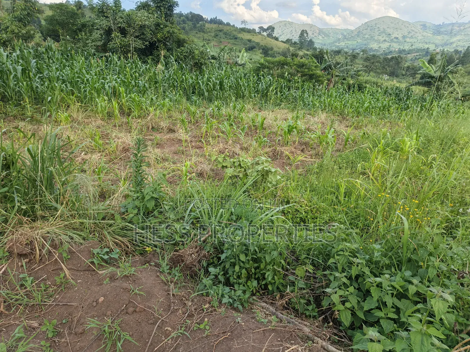 2.5acres of Land on Sale