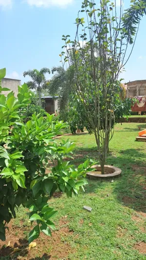 4bdrm House in Bulwanyi Nakawuka, Central Division for sale