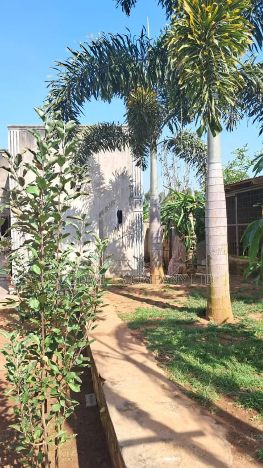 4bdrm House in Bulwanyi Nakawuka, Central Division for sale