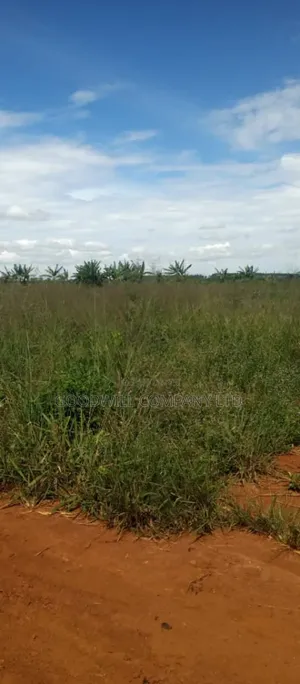 100 Acres of Land in Kamira Kikyuusa Zirobwe Road