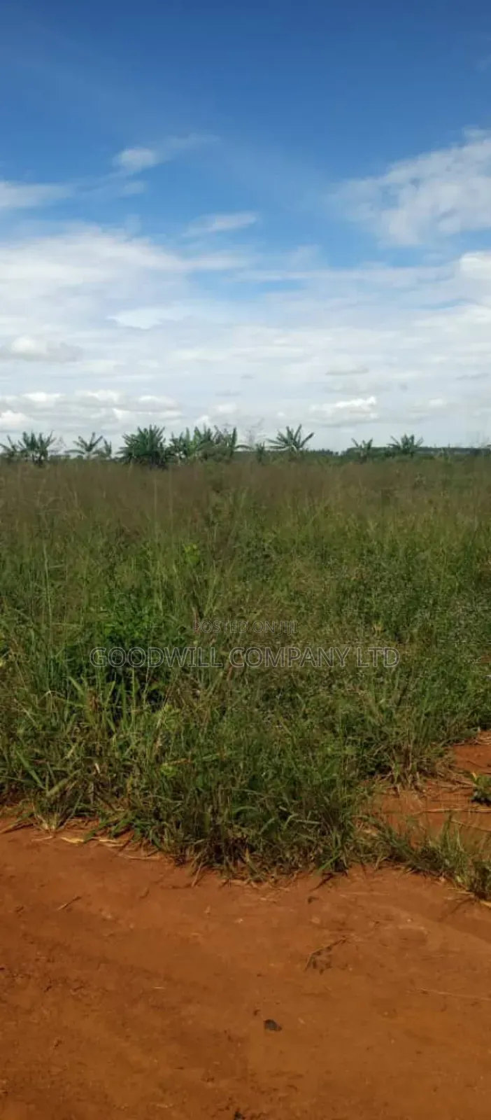 100 Acres of Land in Kamira Kikyuusa Zirobwe Road