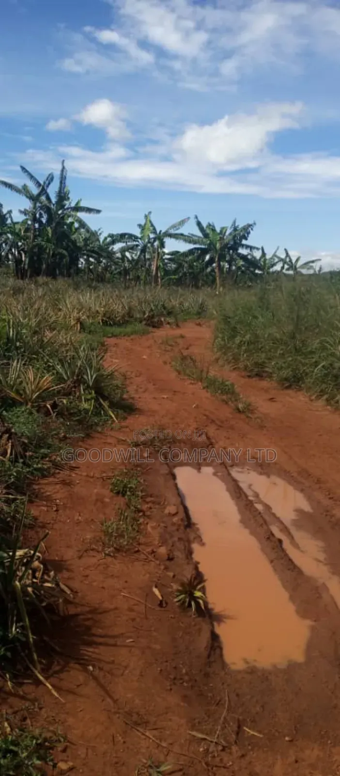 100 Acres of Land in Kamira Kikyuusa Zirobwe Road