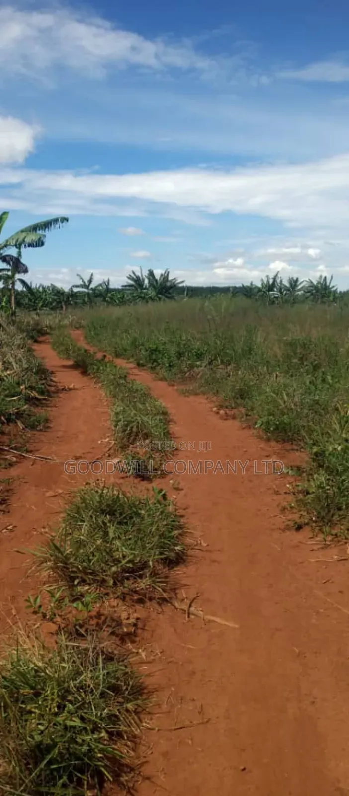 100 Acres of Land in Kamira Kikyuusa Zirobwe Road